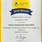 Insurance Fundraising