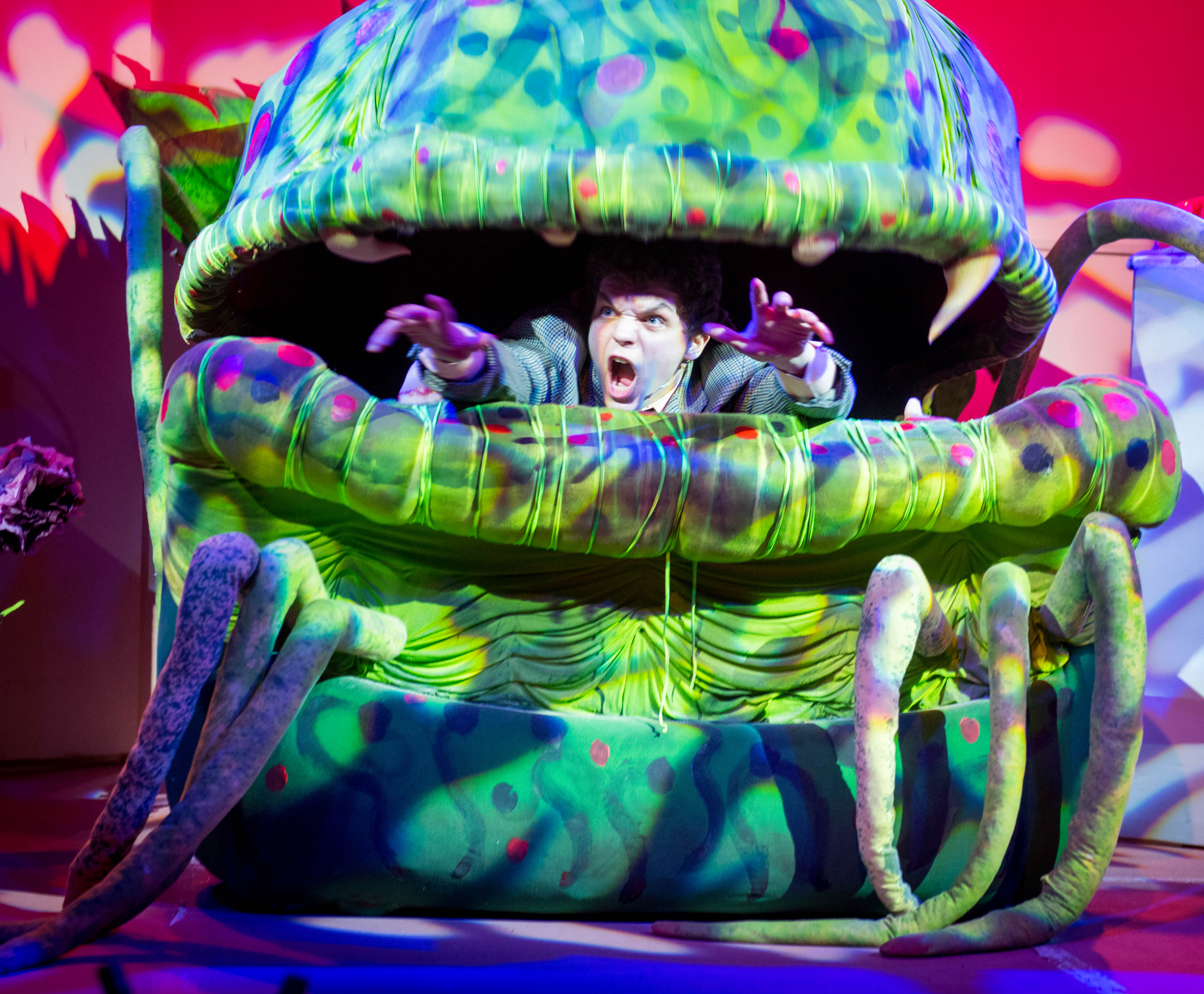 Little Shop of Horrors