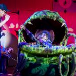 Little Shop of Horrors