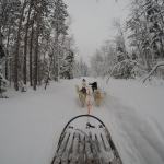 Really Wild Education