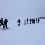 Really Wild Education