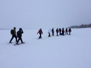 Really Wild Education