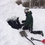 Really Wild Education