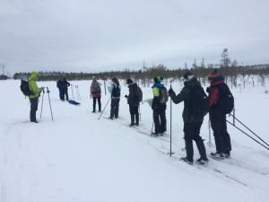 Really Wild Education