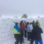 Really Wild Education