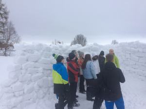 Really Wild Education